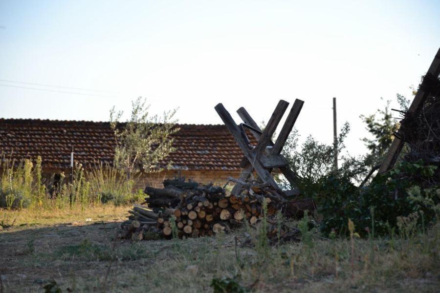 הוילה Perugia Farmhouse מראה חיצוני תמונה